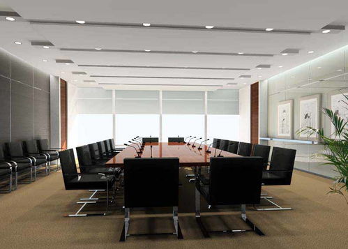 DL会议室灯光技术交流与创新应用